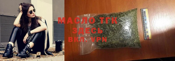 индика Дмитров