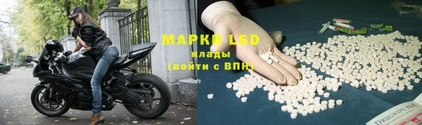 трава Гусь-Хрустальный