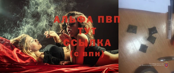 мяу мяу мука Гусиноозёрск
