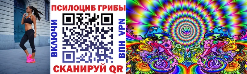 Купить где  Няндома  Галлюциногенные грибы Magic Shrooms 