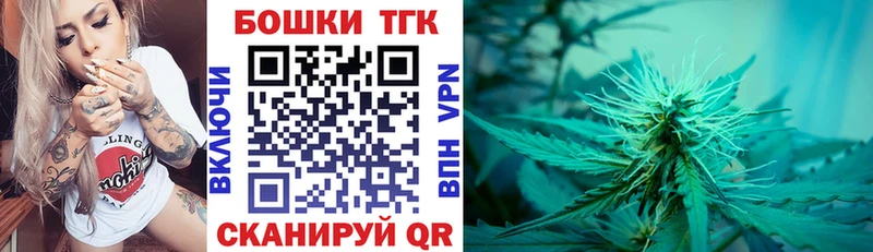 Купить закладки  Няндома  Канабис сатива 